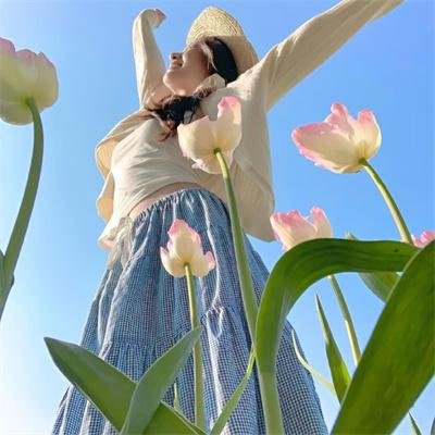 泰山战群雄